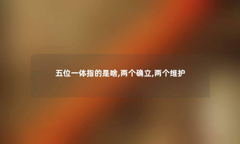 五位一体指的是啥,两个确立,两个维护
