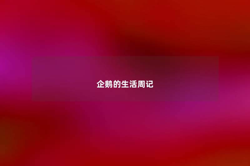 企鹅的生活周记