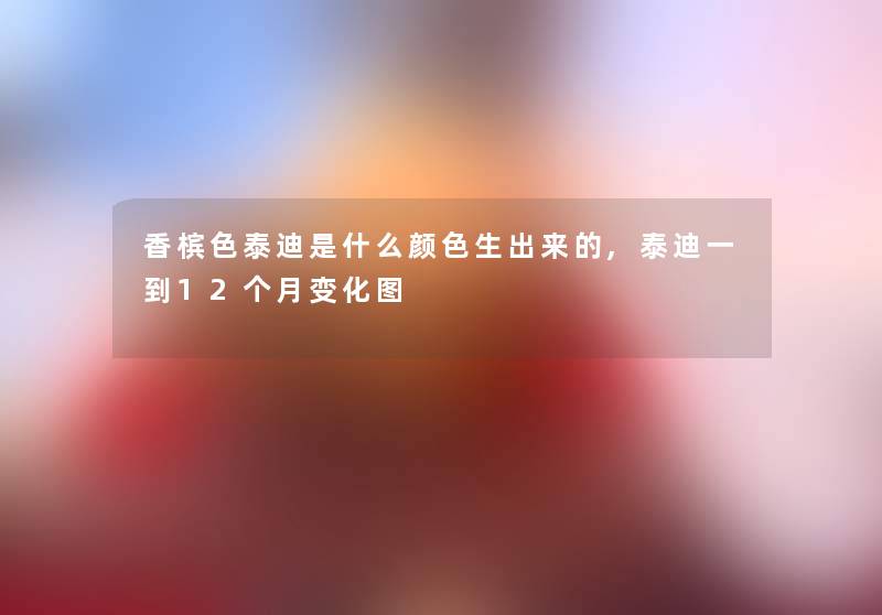 香槟色泰迪是什么颜色生出来的,泰迪一到12个月变化图