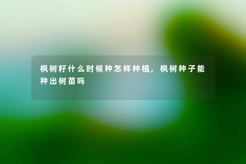 枫树籽什么时候种怎样种植,枫树种子能种出树苗吗