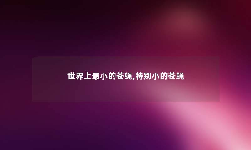 世界上小的苍蝇,特别小的苍蝇