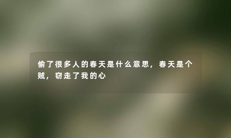 偷了很多人的春天是什么意思,春天是个贼,窃走了我的心