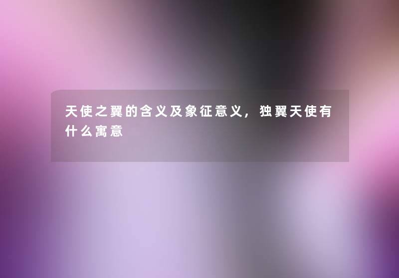 天使之翼的含义及象征意义,独翼天使有什么寓意