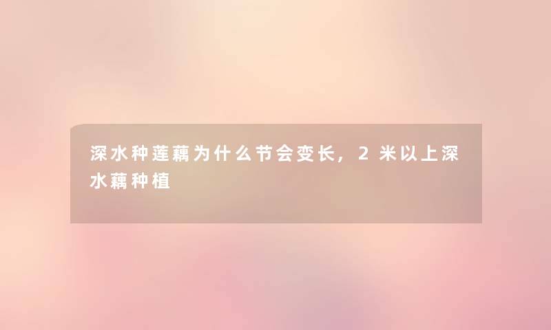 深水种莲藕为什么节会变长,2米以上深水藕种植