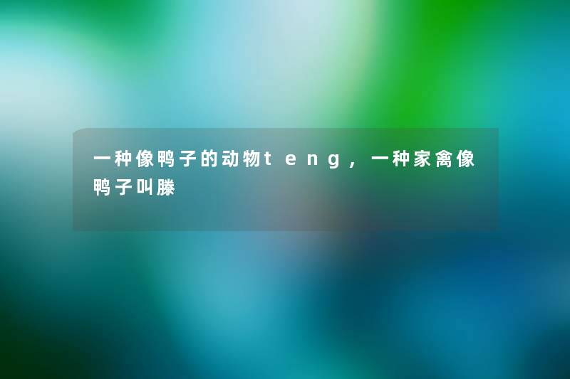 一种像鸭子的动物teng,一种家禽像鸭子叫滕