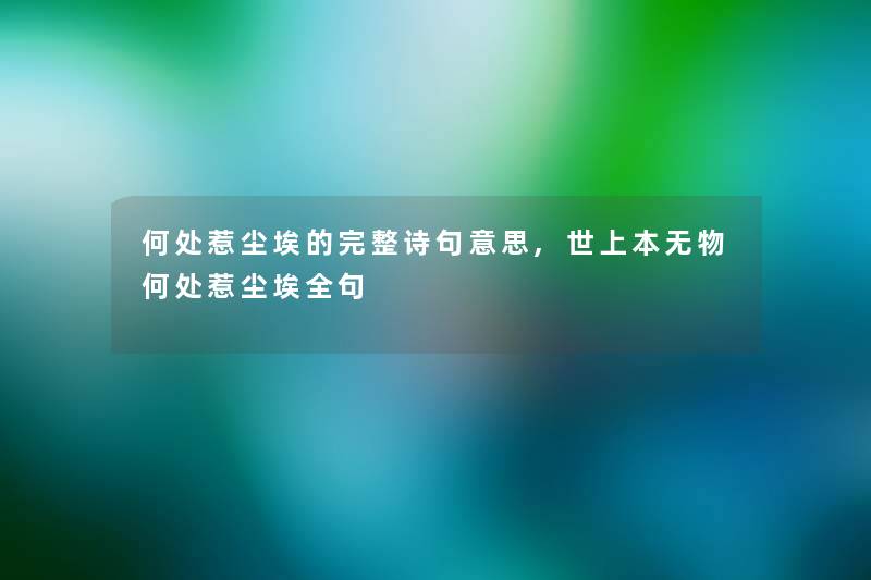 何处惹尘埃的完整诗句意思,世上本无物何处惹尘埃全句