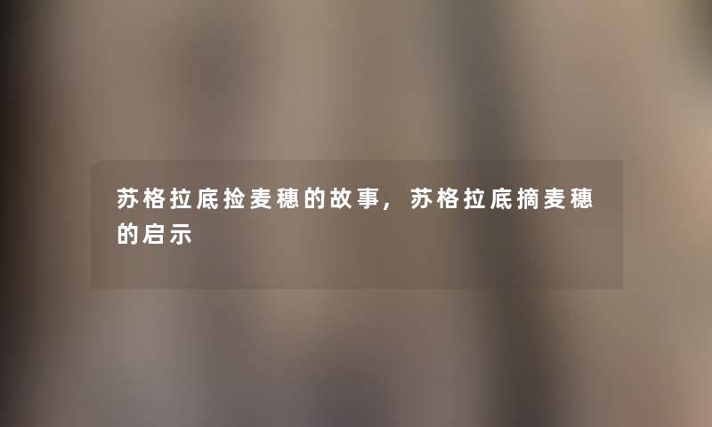 苏格拉底捡麦穗的故事,苏格拉底摘麦穗的启示