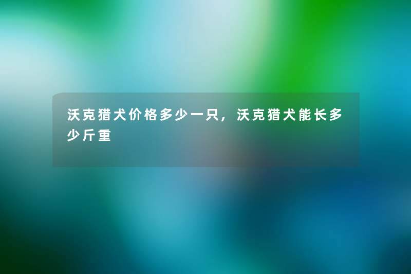 沃克猎犬价格多少一只,沃克猎犬能长多少斤重 沃克猎犬价格多少一只,沃克猎犬能长多少斤重