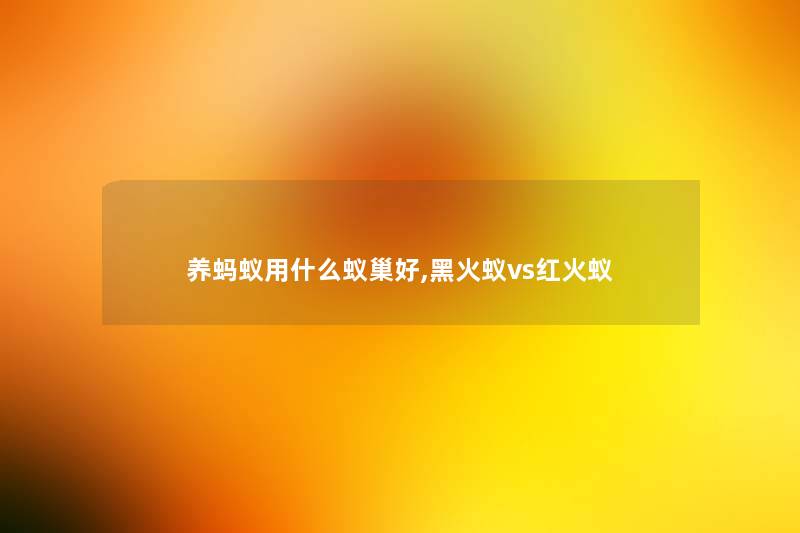养蚂蚁用什么蚁巢好,黑火蚁vs红火蚁 养蚂蚁用什么蚁巢好,黑火蚁vs红火蚁