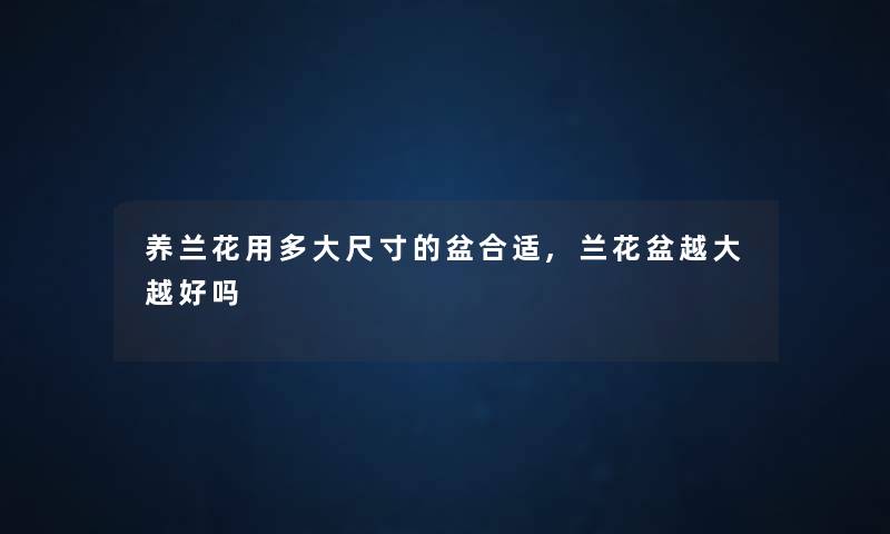 养兰花用多大尺寸的盆合适,兰花盆越大越好吗