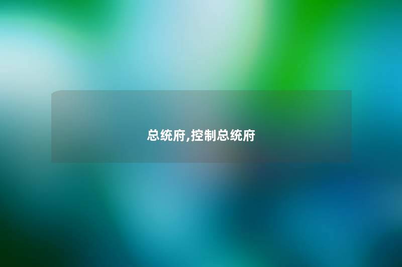 总统府,控制总统府