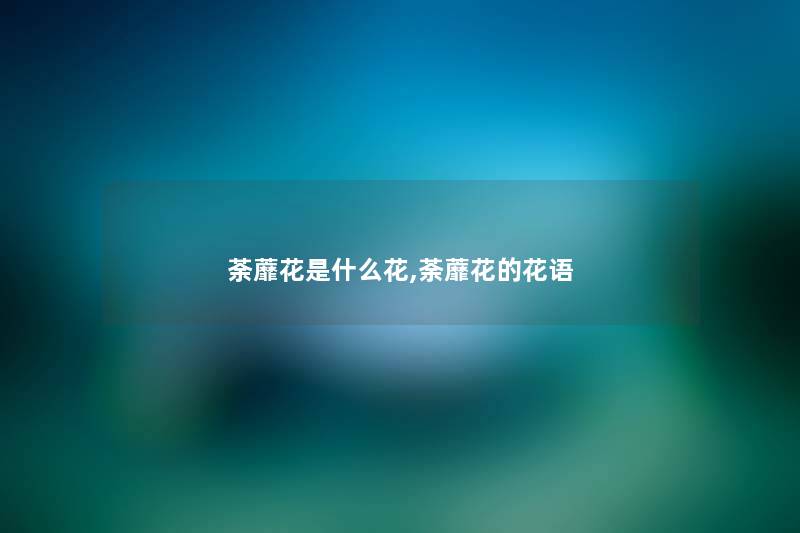 荼蘼花是什么花,荼蘼花的花语