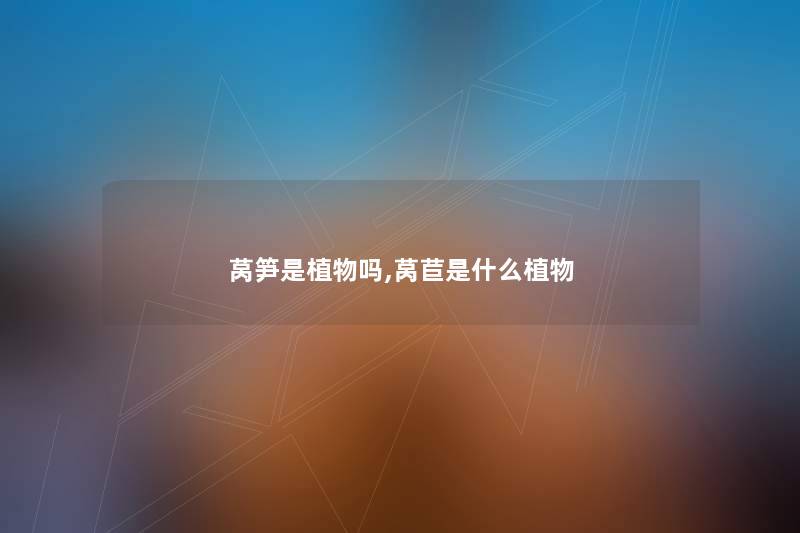 莴笋是植物吗,莴苣是什么植物
