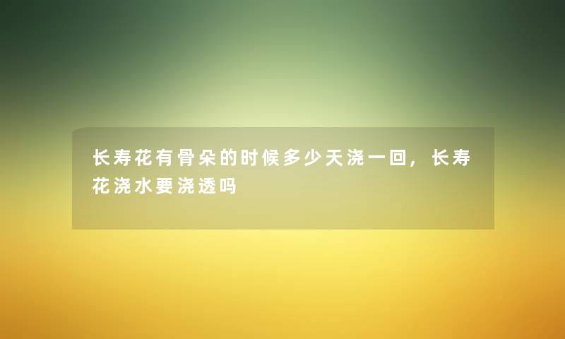 长寿花有骨朵的时候多少天浇一回,长寿花浇水要浇透吗 长寿花有骨朵的时候多少天浇一回,长寿花浇水要浇透吗