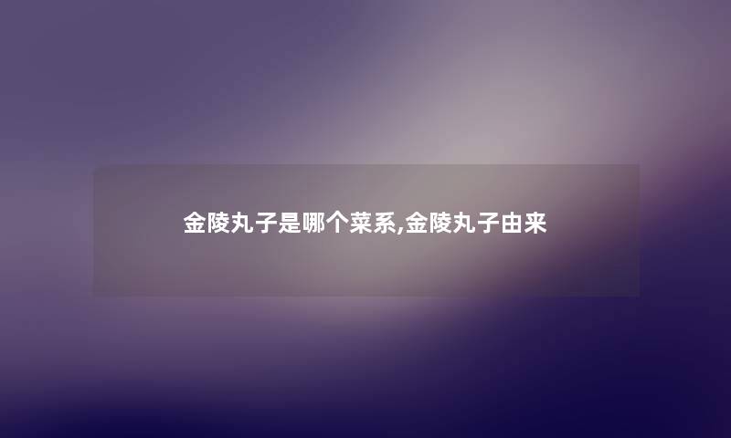 金陵丸子是哪个菜系,金陵丸子由来