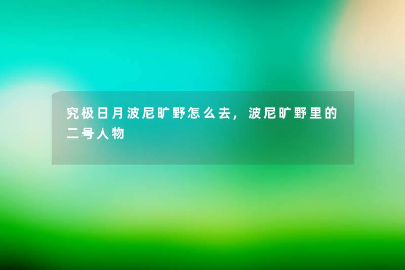 究极日月波尼旷野怎么去,波尼旷野里的二号人物