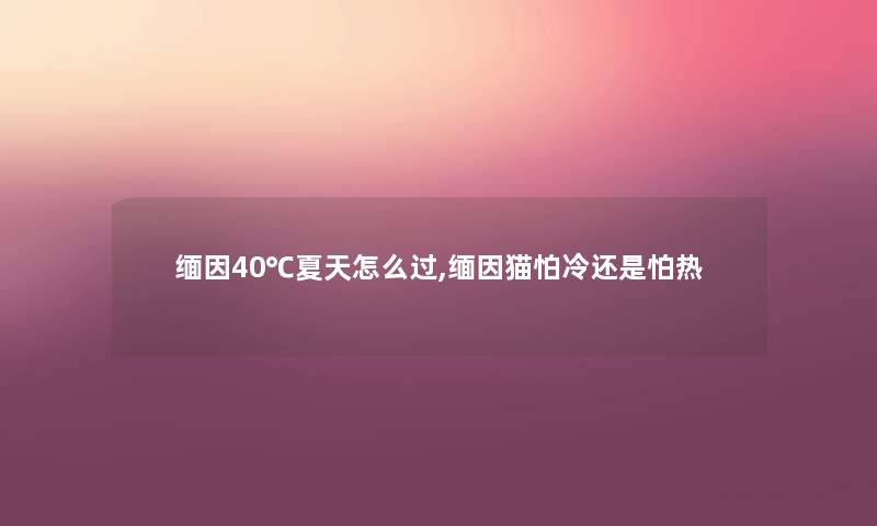 缅因40℃夏天怎么过,缅因猫怕冷还是怕热