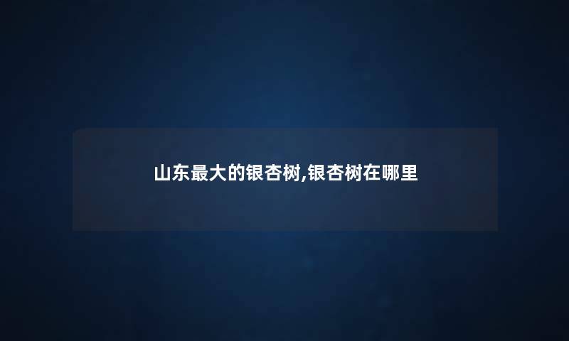 山东大的银杏树,银杏树在哪里