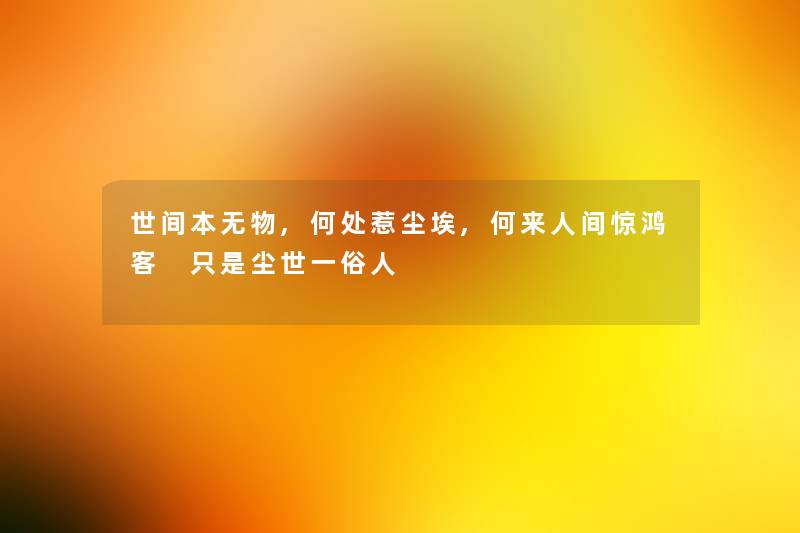 世间本无物,何处惹尘埃,何来人间惊鸿客 只是尘世一俗人