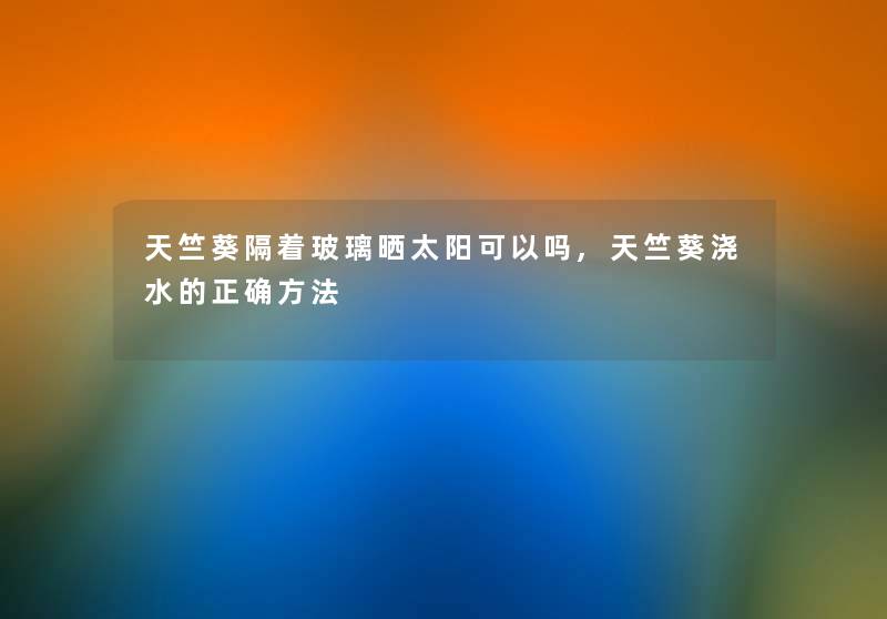 天竺葵隔着玻璃晒太阳可以吗,天竺葵浇水的正确方法