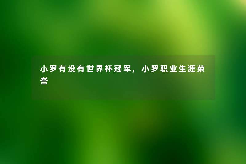 小罗有没有世界杯冠军,小罗职业生涯荣誉