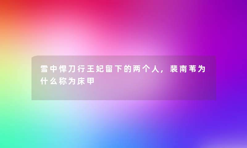 雪中悍刀行王妃留下的两个人,裴南苇为什么称为床甲